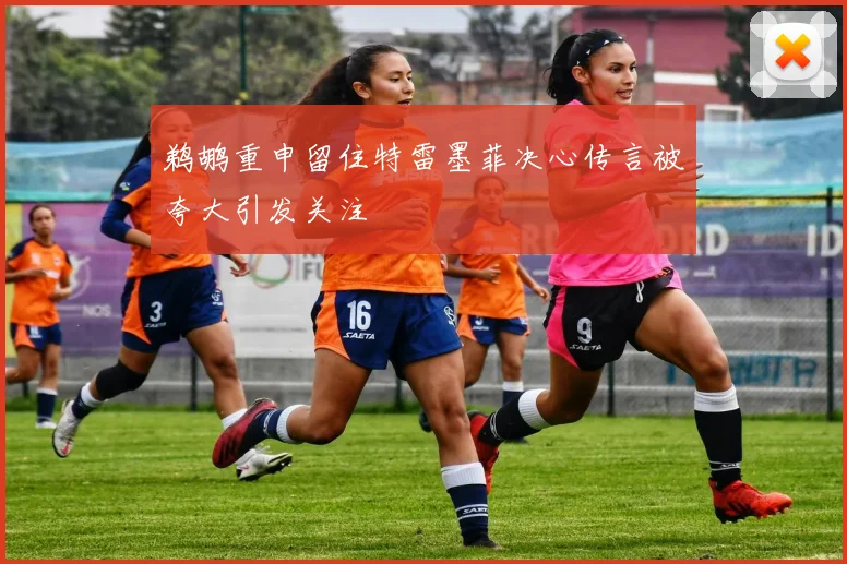 鹈鹕重申留住特雷墨菲决心传言被夸大引发关注