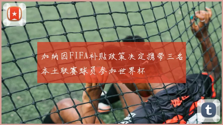 加纳因FIFA补贴政策决定携带三名本土联赛球员参加世界杯